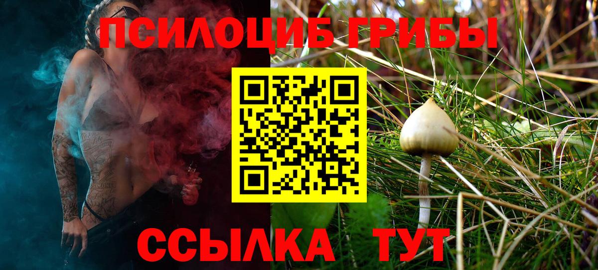 Псилоцибиновые грибы мухоморы Волжск