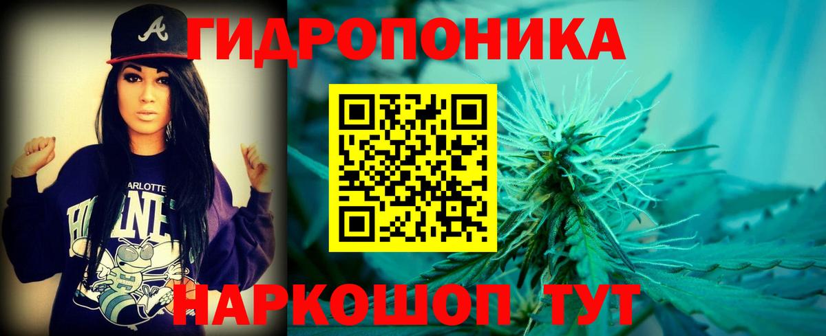 Волжск  Канабис ГИДРОПОН  Канабис семена  Канабис AK-47  Шишки марихуана Ganja  Вход с VPN 
